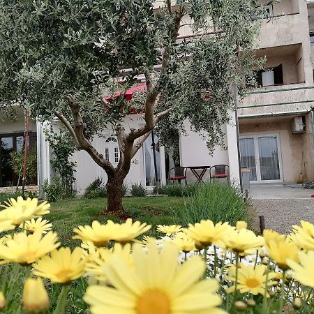Leona Apartment Vidikovac, Pola Esterno foto