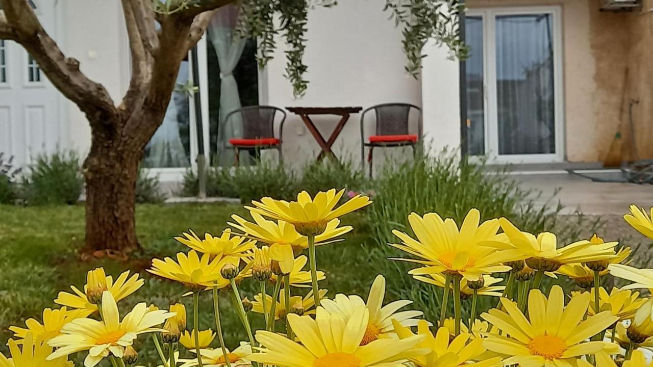 Leona Apartment Vidikovac, Pola Esterno foto